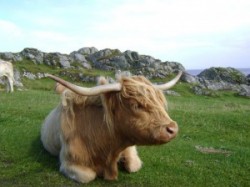 Perfect holiday for self catering in Scotland